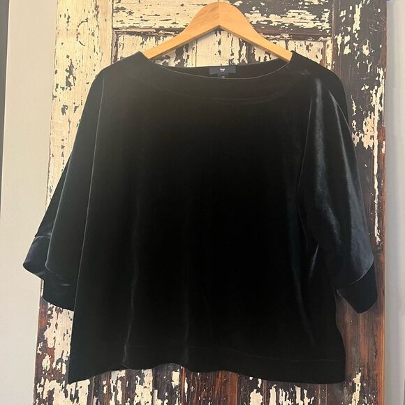 Elegant GAP women’s velour flutter sleeve dress top. Size small. - Picture 1 of 6